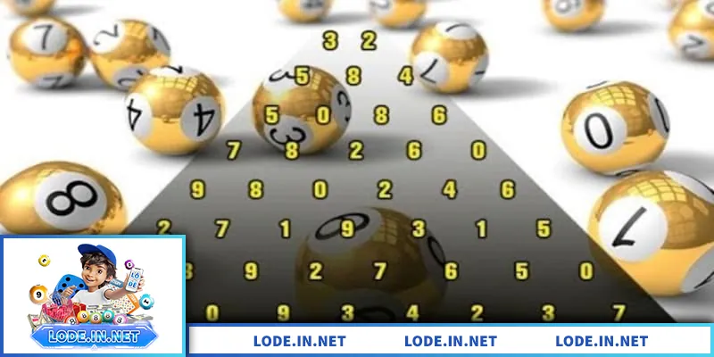 Hướng dẫn chiến lược nuôi lô hiệu quả, an toàn